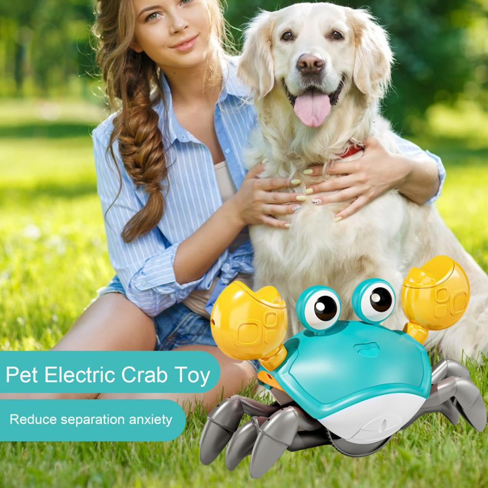 Dog/ Cat Entertainment Toy Crawling Crab Toy Fun Music Lights Sensor Escape Educational Multifunctional